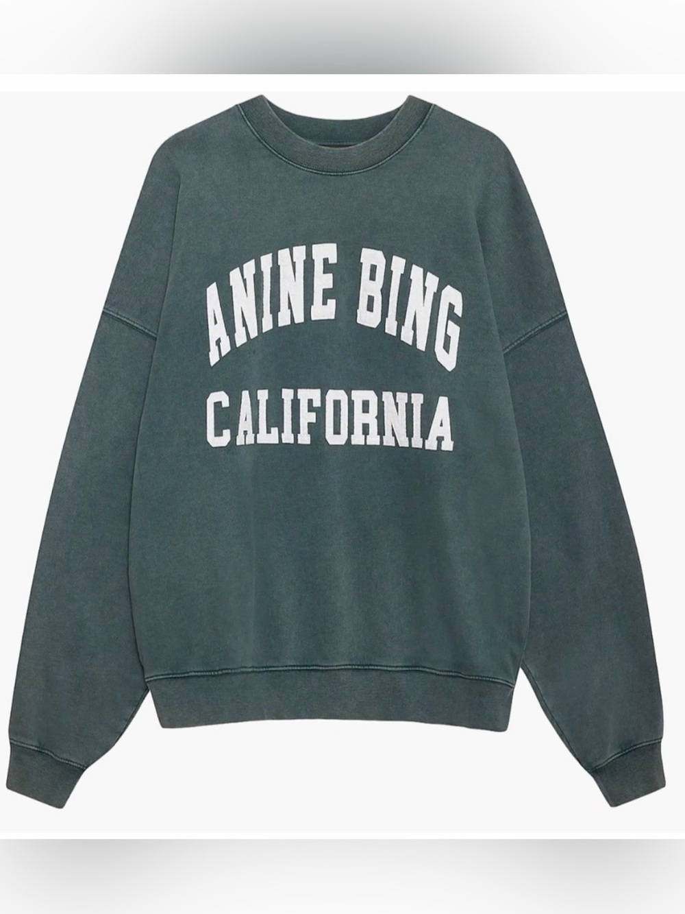 LIKE NEW ANINE BING MILES CREWNECK SWEATSHIRT